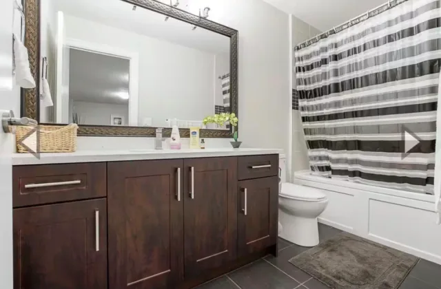 Comfortable 1 bedroom basement suite