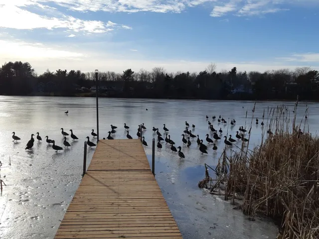 Pet Friendly Waterfront House Near Cobequid Community Health Centre