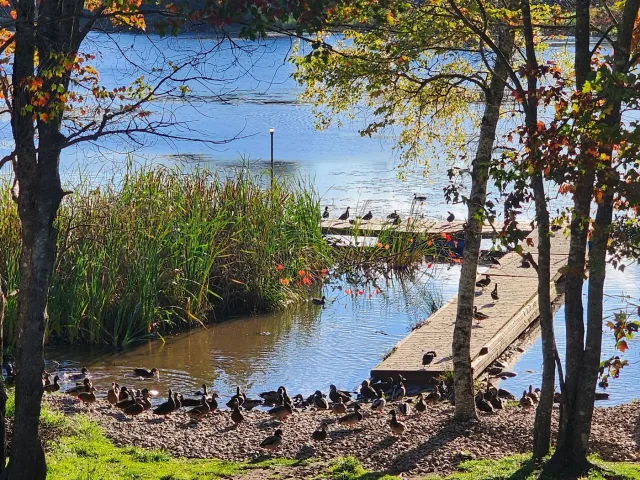Pet Friendly Waterfront House Near Cobequid Community Health Centre