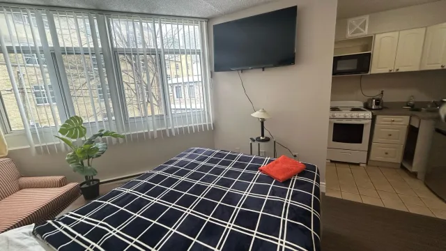 FURNISHED STUDIO APARTMENT IN DOWNTOWN TORONTO