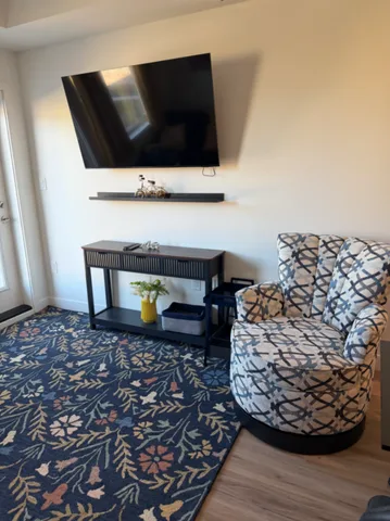 Brand new Condo-everything you need