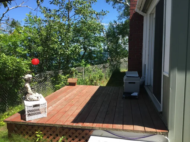 backdecksummer