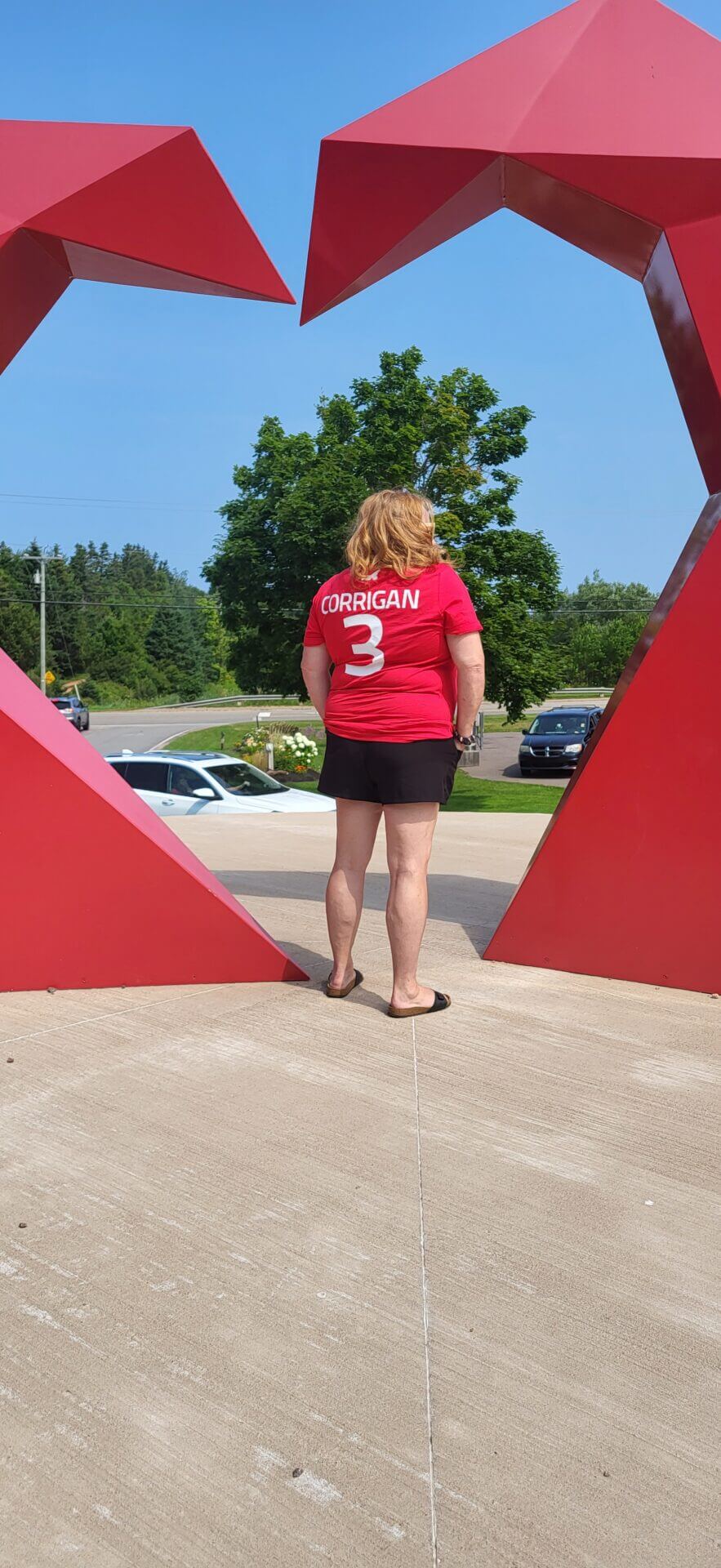 Lisa Johnston