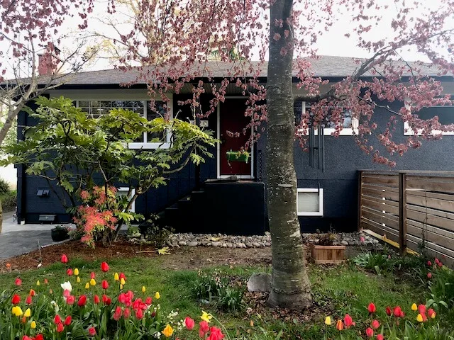 Front House 420