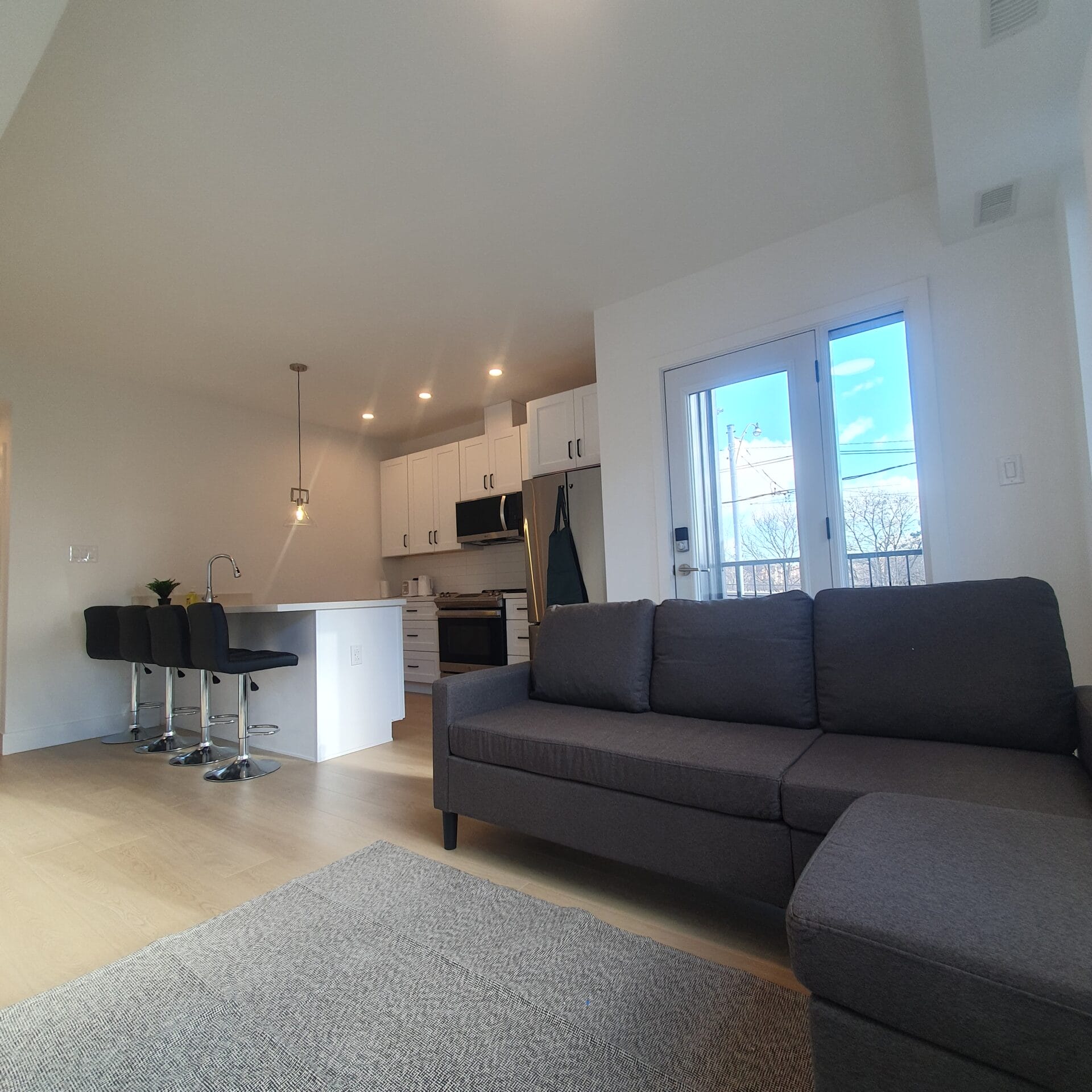 Living room and kitchen