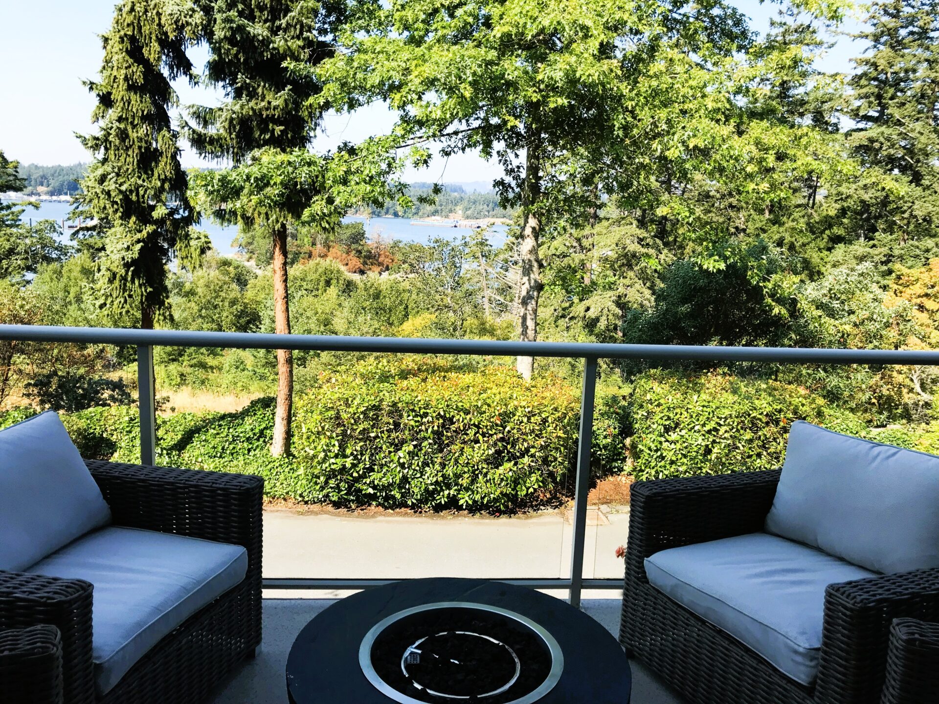 VIEW FROM PATIO